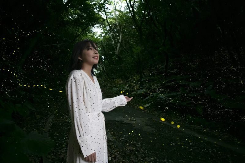 Iriomote Island: Sunset & Yaeyama Hime Firefly Watching Tour [Limited Time: March - May] - What the hour in the forest feels like