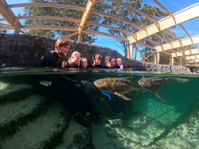 Irukandji Shark & Ray Encounters Ticket - What the general admission ticket includes