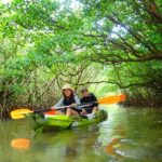 Ishigaki Island: 1-Day Tour Mangrove SUP & Canoe & Blue Cave Snorkeling - The Miyara River, where the day slows down