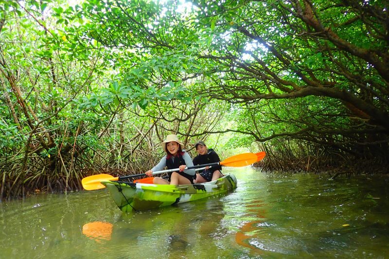 Ishigaki Island: 1-Day Tour Mangrove SUP & Canoe & Blue Cave Snorkeling - The Miyara River, where the day slows down