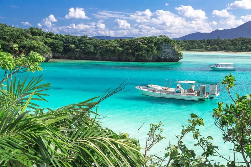 Ishigaki Island Guided Sightseeing Photo Tour: Visiting Popular Spots like Kabira Bay with Photo Data Included - Nagura Bay’s mangroves set the tone