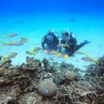 Ishigaki Island Half-Day Sea Turtle Snorkeling / Experience Diving & Snorkeling Double Experience - What the crew and beginner support mean in practice
