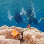 Ishigaki Island Marine Sports - Two possible stops, two kinds of luck