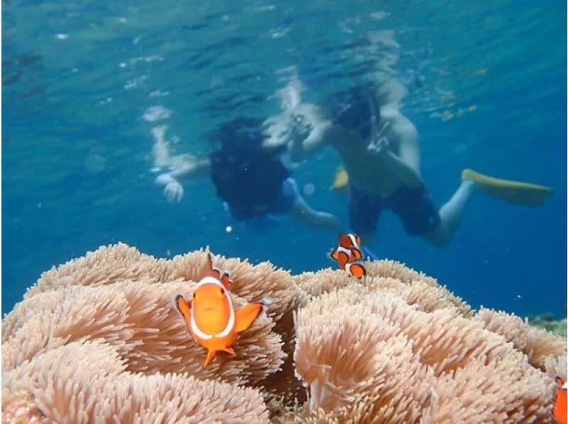 Ishigaki Island Marine Sports - Two possible stops, two kinds of luck