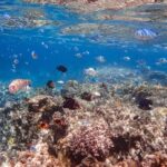 Ishigaki Island: Phantom Island & Blue Cave Snorkeling (1-Day Tour) - The morning boat ride to Phantom Island
