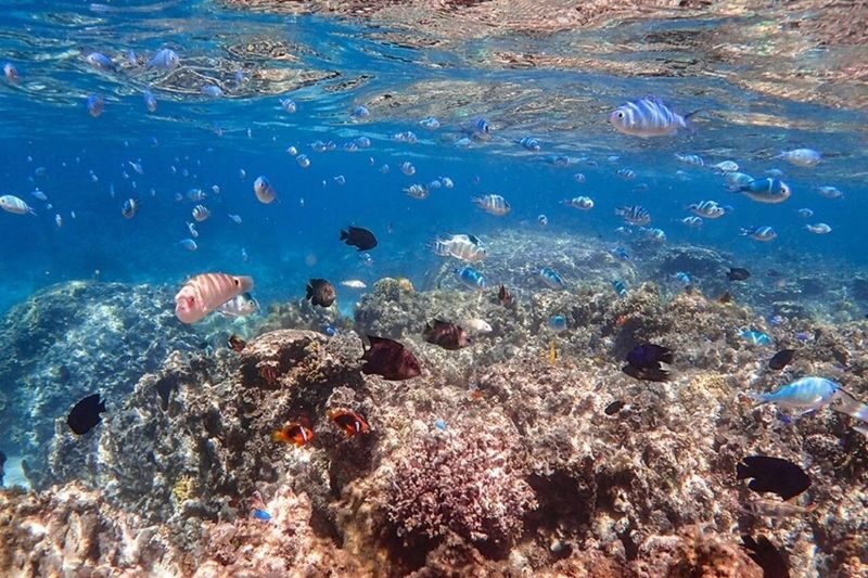 Ishigaki Island: Phantom Island & Blue Cave Snorkeling (1-Day Tour) - The morning boat ride to Phantom Island