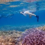 Ishigaki Island: "Phantom Island" Landing & Snorkeling & Mangrove SUP or Canoe Experience (Okinawa) - From sea to river: SUP or canoe at Miyara