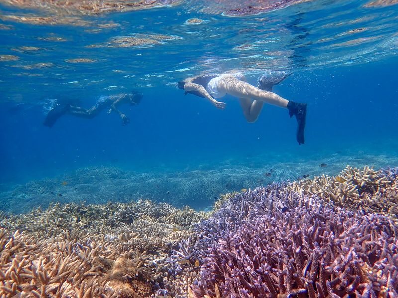 Ishigaki Island: "Phantom Island" Landing & Snorkeling & Mangrove SUP or Canoe Experience (Okinawa) - From sea to river: SUP or canoe at Miyara