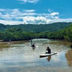 Ishigaki Island Private Customizable One Day Charter Tour - Pick a route that fits five, six, or seven hours
