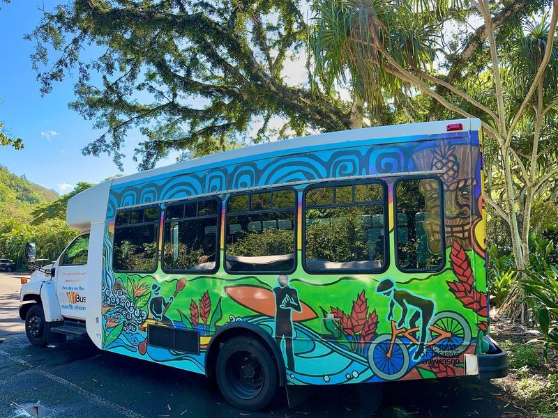 Island Tour + Waterfall & Snorkel - Waimea Falls, with time to slow down