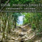 Itoshima Sunset & Fukuoka Tower Night View Experience - Shiraito Falls and the appeal of a varied day