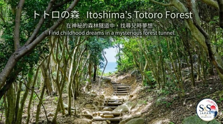 Itoshima Sunset & Fukuoka Tower Night View Experience - Shiraito Falls and the appeal of a varied day