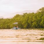 Iwahig Firefly Watching Tour in Puerto Princesa - A closer look at the evening schedule
