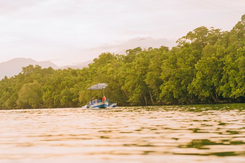 Iwahig Firefly Watching Tour in Puerto Princesa - A closer look at the evening schedule