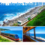 Izu Omuroyama and Jogasaki Coast Full-Day Small Group Experience - Confirm whether the train or zoo is part of your day