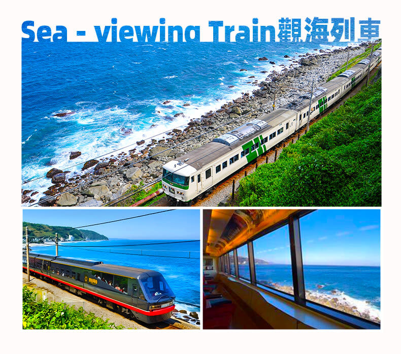 Izu Omuroyama and Jogasaki Coast Full-Day Small Group Experience - Confirm whether the train or zoo is part of your day