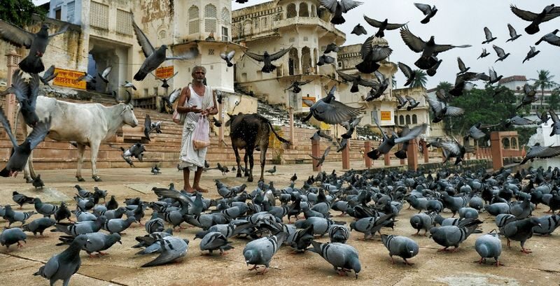 Jaipur Pushkar Full-Day Private Pilgrimage Tour - A local guide adds context