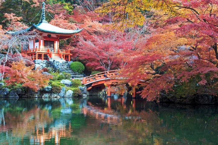 Japan Festivals by Knutson Travels - 4-Day Tokyo to Hiroshima Tour - Tokyo to Kyoto: a fast train and a festival day