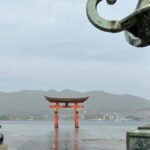Japan In-Depth Cherry Blossom Tour by Tweet World Travel - 13 Days - Kyoto and Nara focus on temples, gardens, and old streets