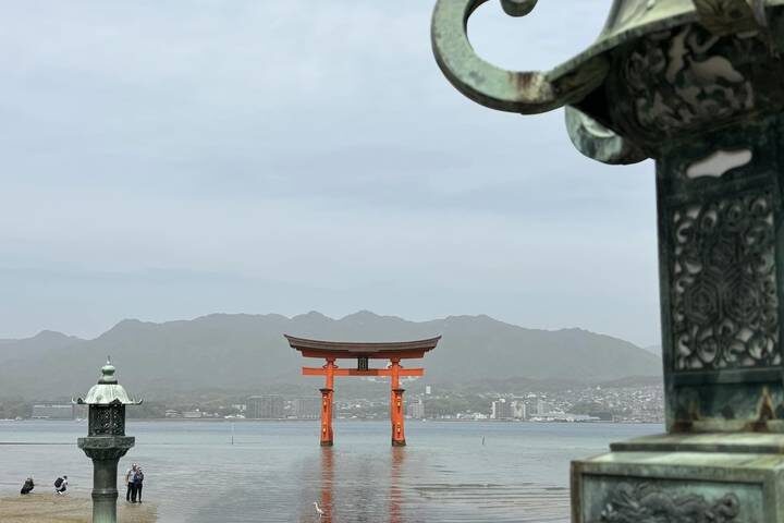 Japan In-Depth Cherry Blossom Tour by Tweet World Travel - 13 Days - Kyoto and Nara focus on temples, gardens, and old streets