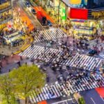 Japan in Winter by Train (Plus Ski) 14-Day Tour with Contiki - Kyoto gives you a guided introduction and a free day