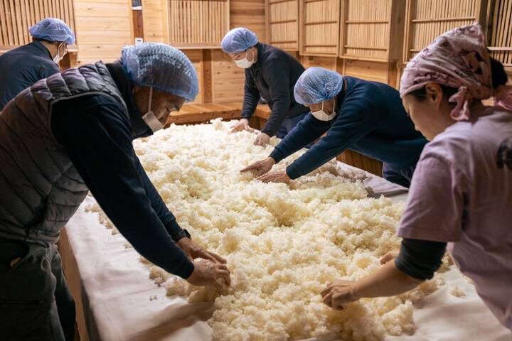 Japan: Land of the Rising Sun 12-Day Tour by Intrepid Travel - Hakone pairs hot springs with mountain views