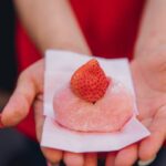 Japan Real Food Adventure by Intrepid Travel - 11 Days, Tokyo to Osaka - Tokyo: sushi, Tsukiji and old-town sweets