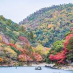 Japans Garden of Eden in Arashiyama Private Tour - Tenryu-ji and its garden