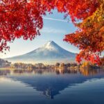 Japans Landscapes and Mount Fuji by Europamundo - 15-Day Tour - Kyoto, Nara, Osaka, and Himeji bring Japan’s big names