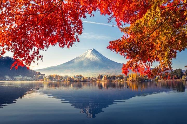 Japans Landscapes and Mount Fuji by Europamundo - 15-Day Tour - Kyoto, Nara, Osaka, and Himeji bring Japan’s big names