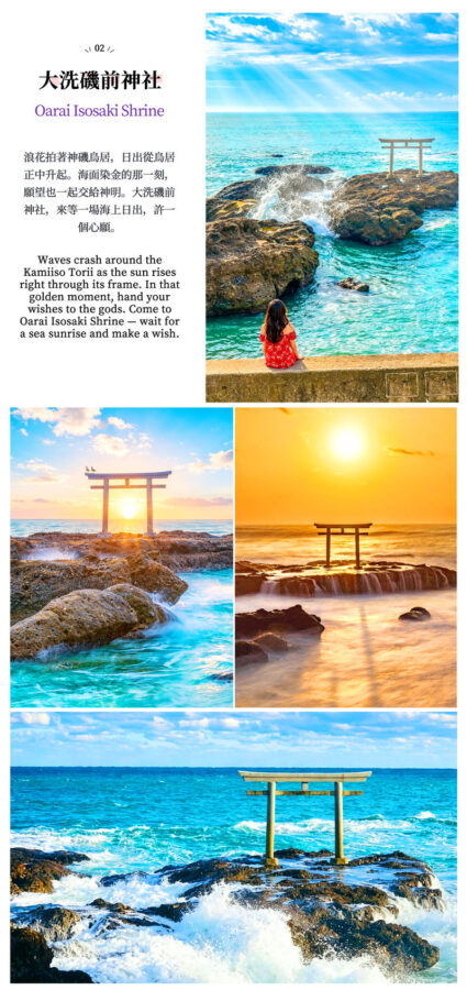 Japans Top 3 Illumination Shows: Ashikaga Flower Park & Ibaraki Ocean View Day Trip (Departing from Tokyo) - Sakatsura Isozaki Shrine and the sea-facing torii