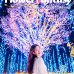 Japans Top 3 Illumination Shows: Flower Garden of Light & Ibaraki Lucky Turtle & Nakaminato Fish Market & Oarai Isosaki Shrine One-Day Tour - Hitachi Seaside Park when the flowers are right