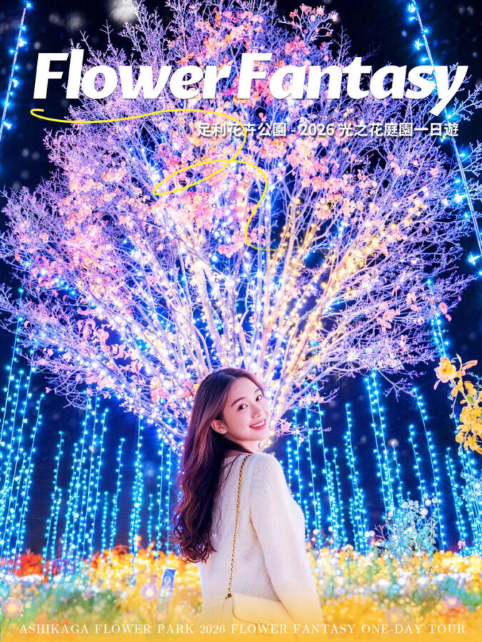 Japans Top 3 Illumination Shows: Flower Garden of Light & Ibaraki Lucky Turtle & Nakaminato Fish Market & Oarai Isosaki Shrine One-Day Tour - Hitachi Seaside Park when the flowers are right
