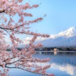 Japan Self-Guided - 12 Nights 3 Star Hotel by Vio Travel: Tokyo to Osaka Tour - Tokyo: ease into the trip, then eat your way through Tsukiji