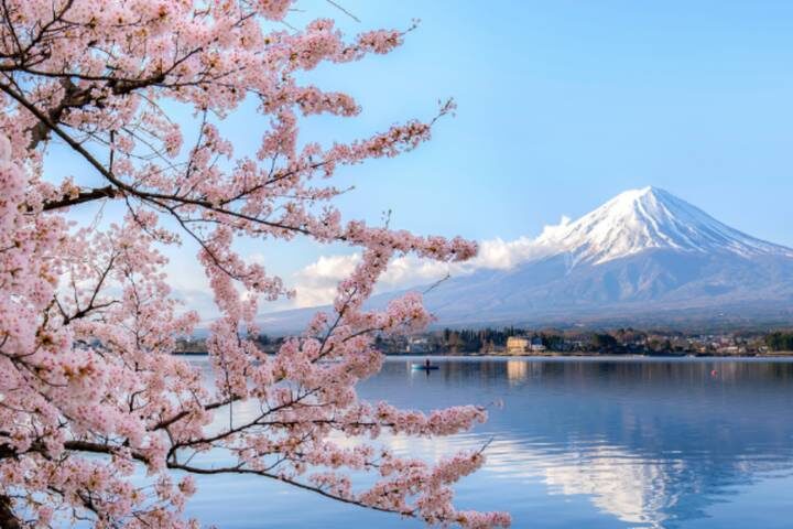 Japan Self-Guided - 12 Nights 3 Star Hotel by Vio Travel: Tokyo to Osaka Tour - Tokyo: ease into the trip, then eat your way through Tsukiji