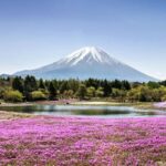 Japan Uncovered - 11 days by On The Go Tours - Hakone brings mountain air and an onsen night