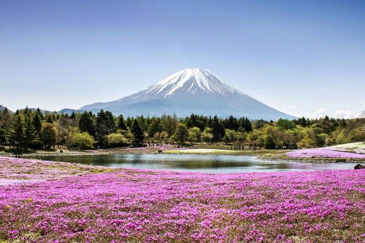 Japan Uncovered - 11 days by On The Go Tours - Hakone brings mountain air and an onsen night
