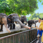 Jatim Park 2 (Batu Secret Zoo & Museum Satwa) - Start with the animals at Batu Secret Zoo