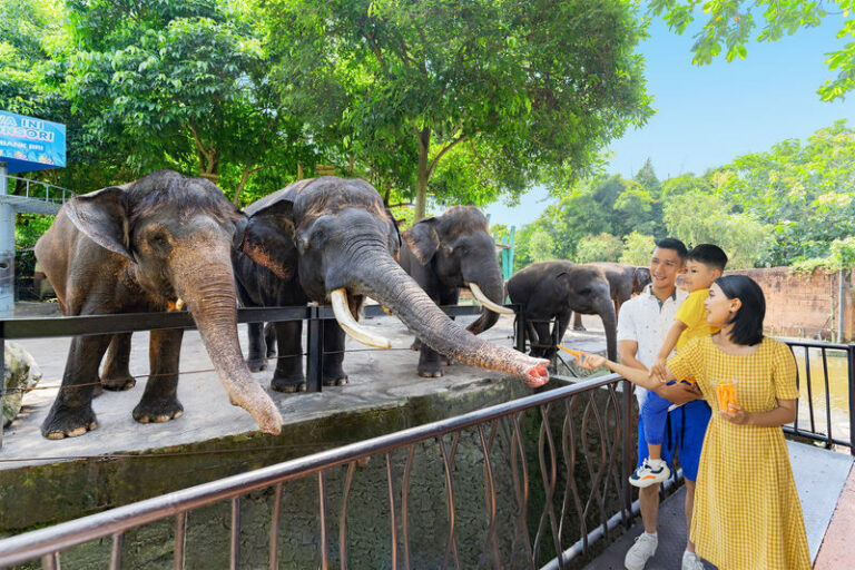 Jatim Park 2 (Batu Secret Zoo & Museum Satwa) - Start with the animals at Batu Secret Zoo