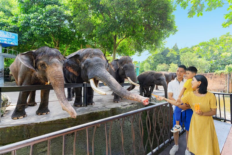 Jatim Park 2 (Batu Secret Zoo & Museum Satwa) - Start with the animals at Batu Secret Zoo