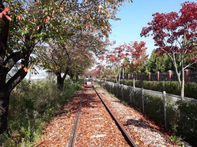 Jebu Island Cable Car & Rail Bike & Korean Folk Village Day Tour - The Korean Folk Village: time for houses, shows, and lunch