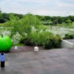 Jeju Bonte Museum Ticket - Arriving at Ando’s concrete museum