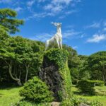 Jeju East & Southwest UNESCO Highlights in One Day - What the east-to-southwest route means