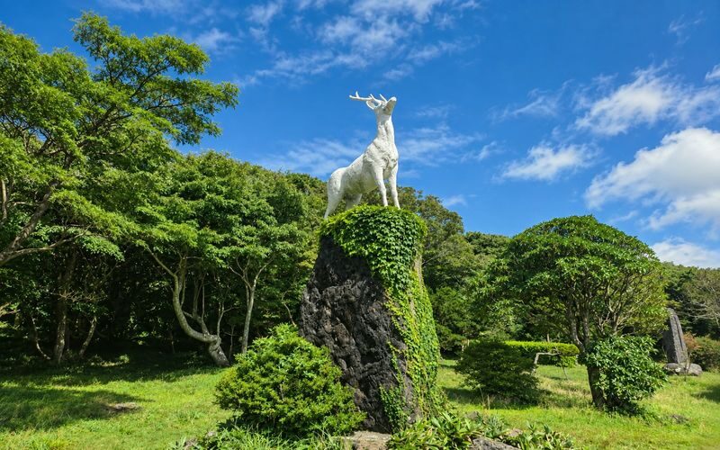 Jeju East & Southwest UNESCO Highlights in One Day - What the east-to-southwest route means