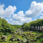 Jeju Essential Southwest Tour (1PM Late Departure) - Hallasan’s 1100 Highland Rest Area