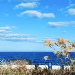 Jeju Full-Day Private Charter with Self-Guided Tour - Hamdeok Beach starts the east-coast day