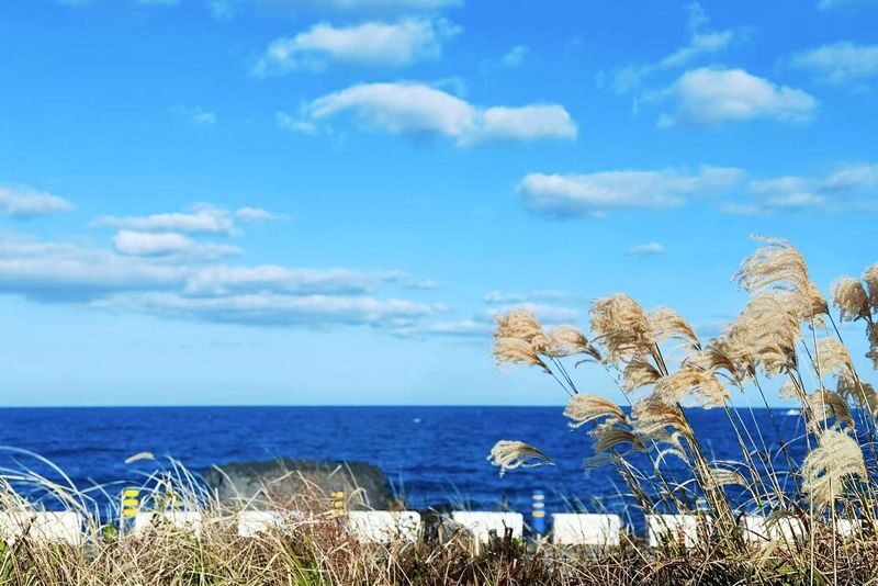 Jeju Full-Day Private Charter with Self-Guided Tour - Hamdeok Beach starts the east-coast day