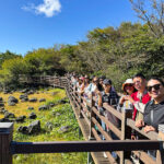 Jeju Island Authentic Tour Tangerine Picking & Haenyeo & UNESCO - Hallasan’s high-altitude wetland