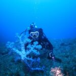 Jeju Island Scuba Diving Experience - First Time? The Introductory Option Is for You