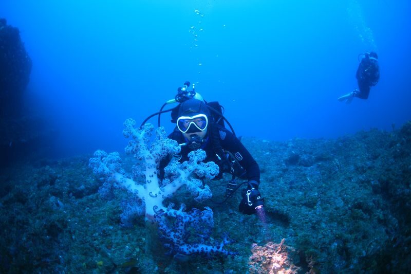 Jeju Island Scuba Diving Experience - First Time? The Introductory Option Is for You